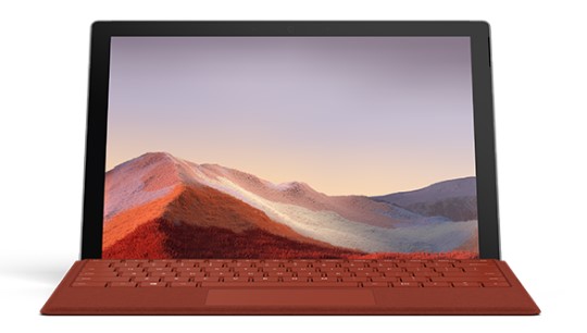 玉州清洁和维护 Surface